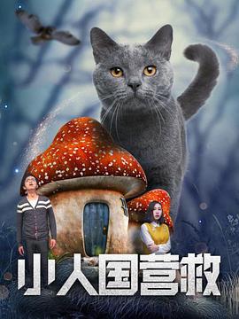 免费观看91视频