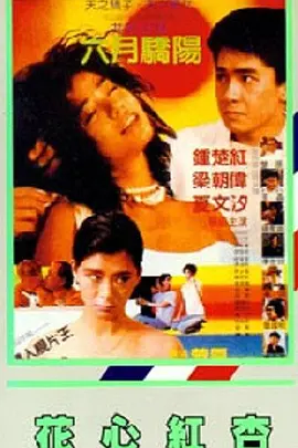 黄网站视频