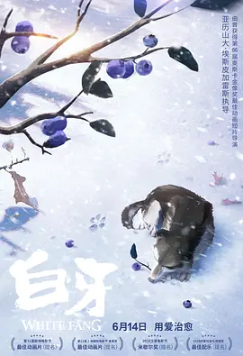 婷婷视频导航