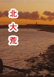 美女vk