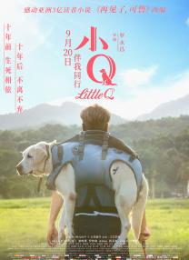 五个小仙女那咋了